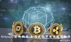 Bitpapp使用指南：如何高效下载与使用软件