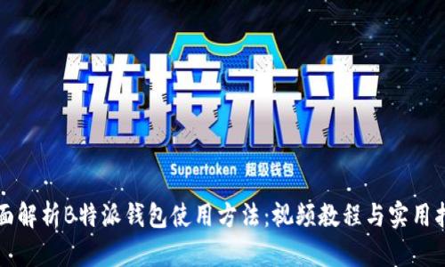 全面解析B特派钱包使用方法：视频教程与实用指南