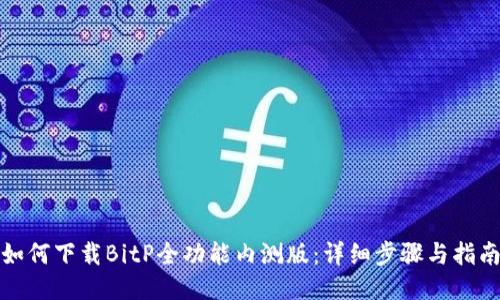 如何下载BitP全功能内测版：详细步骤与指南