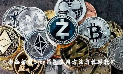 全面解析Bitp钱包使用方法与视频教程