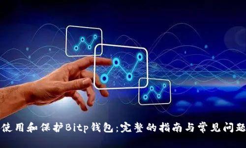 如何使用和保护Bitp钱包：完整的指南与常见问题解答