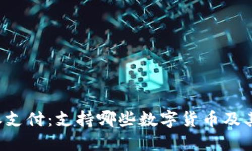 探秘B特派支付：支持哪些数字货币及其应用场景