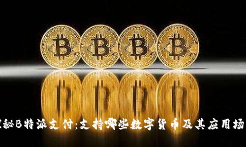 探秘B特派支付：支持哪些数字货币及其应用场景