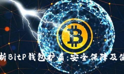 全面解析BitP钱包护盾：安全保障及使用指南