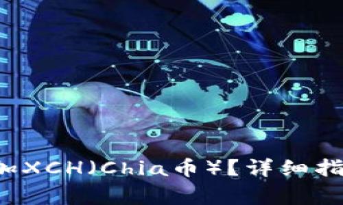 b特派钱包如何添加XCH（Chia币）？详细指南与常见问题解答