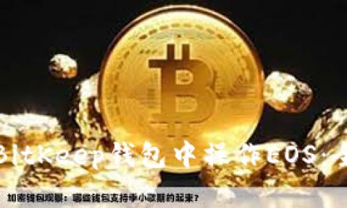 如何在BitKeep钱包中操作EOS：全面指南