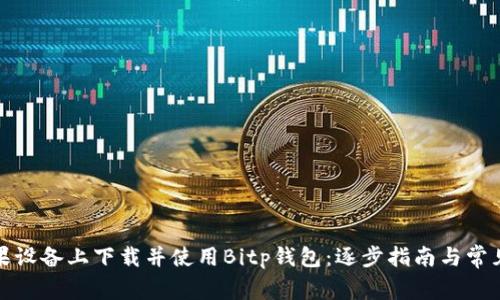 如何在苹果设备上下载并使用Bitp钱包：逐步指南与常见问题解答
