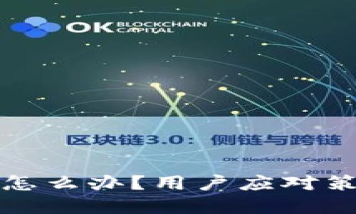 比特派倒闭了怎么办？用户应对策略与投资建议