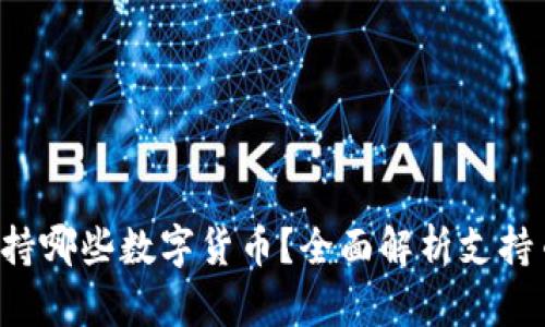 b特派钱包支持哪些数字货币？全面解析支持币种及其特点