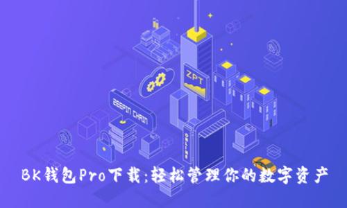 BK钱包Pro下载：轻松管理你的数字资产
