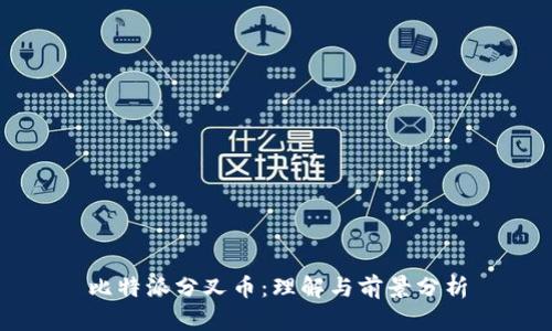 比特派分叉币：理解与前景分析