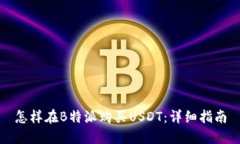 怎样在B特派购买USDT：详细指南