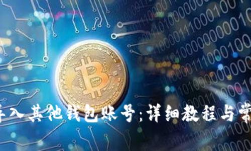 b特派如何导入其他钱包账号：详细教程与常见问题解答