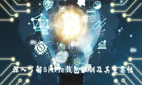  深入了解BitPie钱包私钥及其重要性