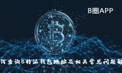 如何查询B特派钱包地址及相关常见问题解答