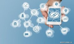 如何查询BitP钱包的官方网址及安全使用指南