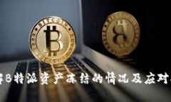 了解B特派资产冻结的情况及应对措施