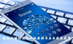 金融区块链受冲击的原因与未来发展展望