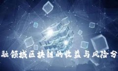 金融领域区块链的收益与风险分析