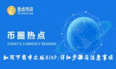 如何下载中文版BitP：详细步骤与注意事项