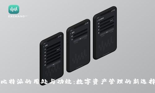 比特派的用处与功效：数字资产管理的新选择