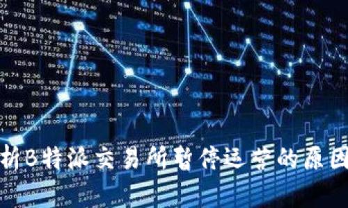 深入解析B特派交易所暂停运营的原因与影响