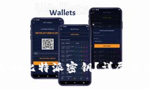 如何找回丢失的比特派密钥？详尽攻略与重要提示