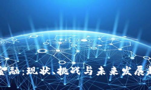 区块链金融:现状、挑战与未来发展趋势分析