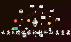 什么是B特派验证种子及其重要性