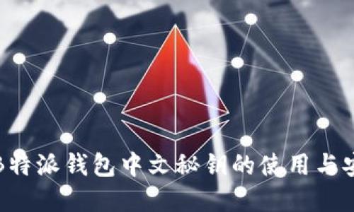 详解B特派钱包中文秘钥的使用与安全性