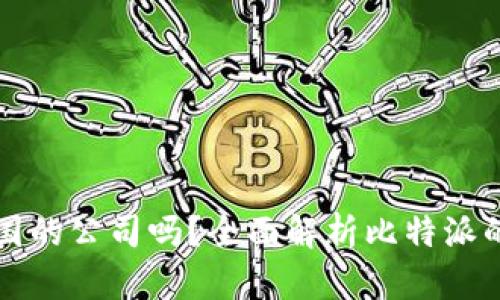比特派是中国的公司吗？全面解析比特派的背景与发展