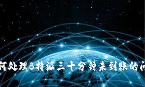 如何处理B特派三十分钟未到账的问题