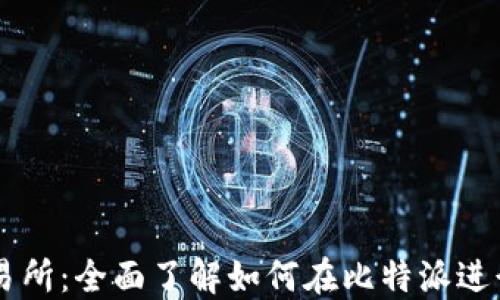 
比特派交易所：全面了解如何在比特派进行货币交易