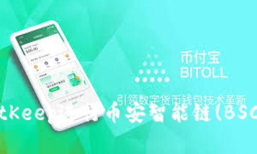 终极指南：使用BitKeep进行币安智能链(BSC)交易的完整教程