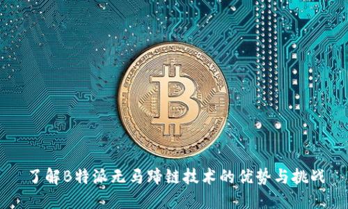 了解B特派无马蹄链技术的优势与挑战