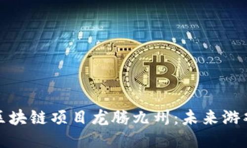 探索游戏区块链项目龙腾九州：未来游戏的新维度