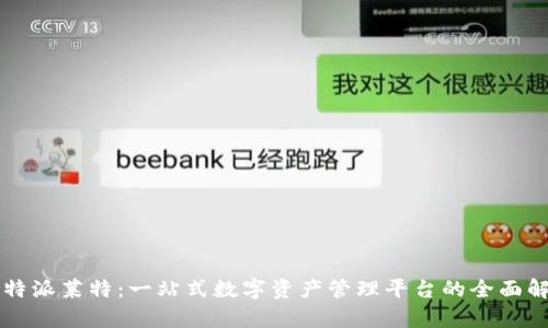 比特派莱特：一站式数字资产管理平台的全面解析