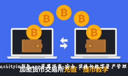 bibiaobitpie钱包app苹果下载：安全、便捷的数字资产管理工具