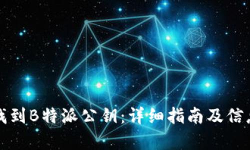 如何找到B特派公钥：详细指南及信息解析
