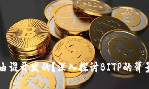 BITP是由谁开发的？深入探讨BITP的背景与团队