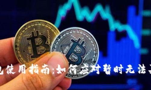 比特派钱包使用指南：如何应对暂时无法买卖的情况