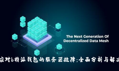 如何应对b特派钱包的服务器故障：全面分析与解决方案