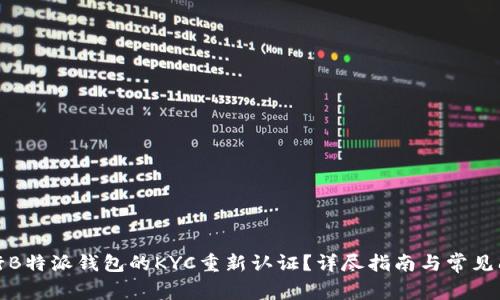 如何进行B特派钱包的KYC重新认证？详尽指南与常见问题解答