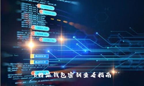 b特派钱包密钥查看指南