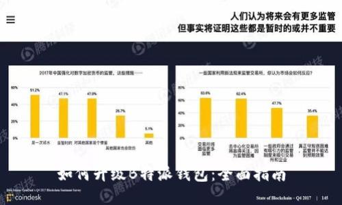 如何升级B特派钱包：全面指南