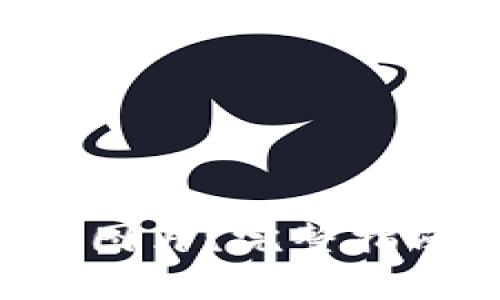 如何下载B特派的图片？完整指南与常见问题解答