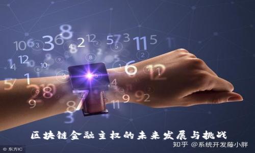 区块链金融主权的未来发展与挑战