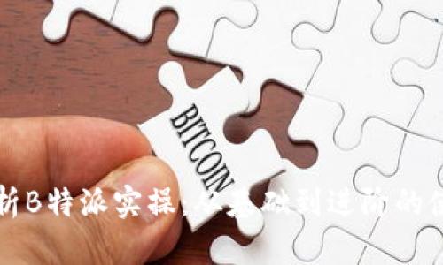 全面解析B特派实操：从基础到进阶的使用指南