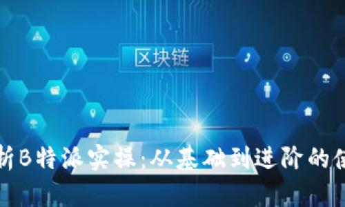 全面解析B特派实操：从基础到进阶的使用指南