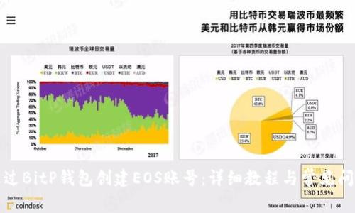 如何通过BitP钱包创建EOS账号：详细教程与常见问题解析